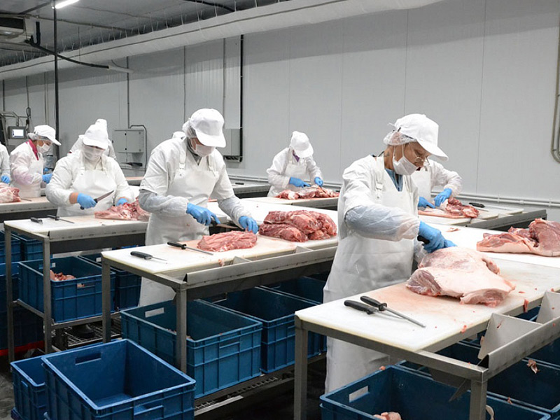 Свиноводческие предприятия Рязанской области наращивают производство