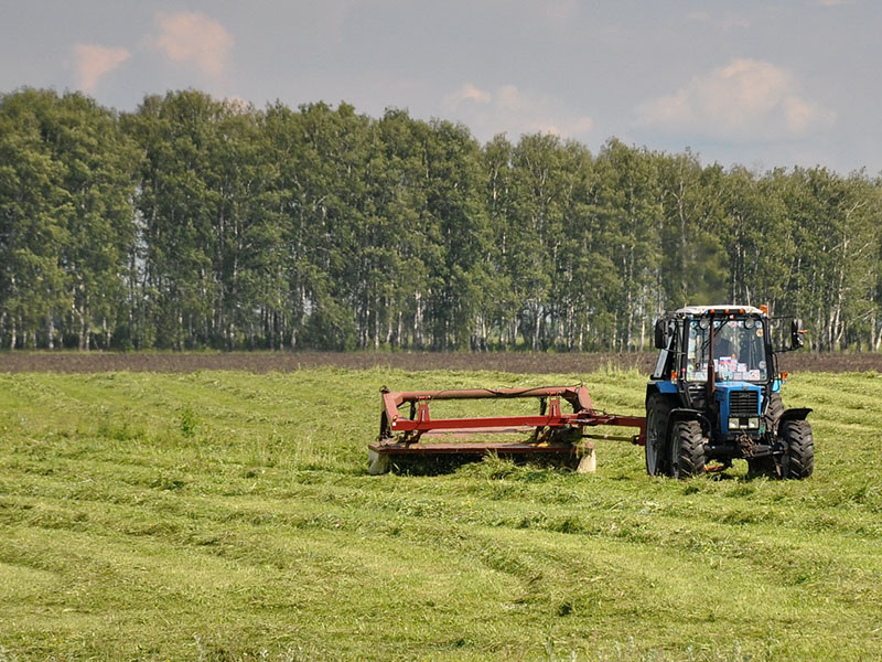 В Рязанской области заложили на хранение 398 тысяч тонн грубых и сочных кормов