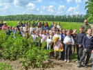 Школьники побывали на экскурсии в цветущих садах ИП Айюбовой С.А. Старожиловского района