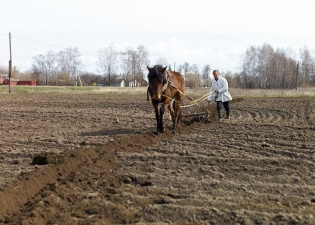 Праздник первой борозды устроили в деревне Баграмово Рыбновского района