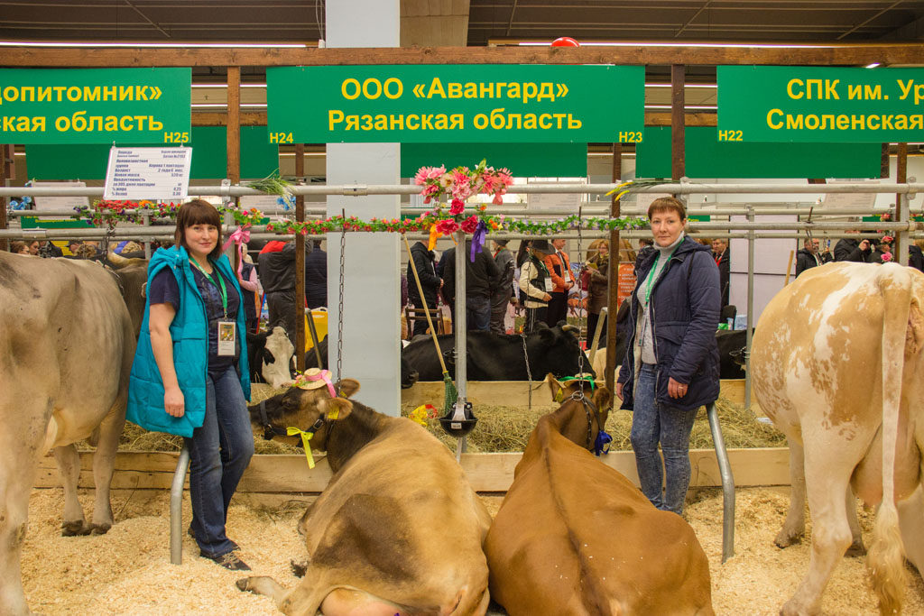 Сельхоз Сайты Продажи