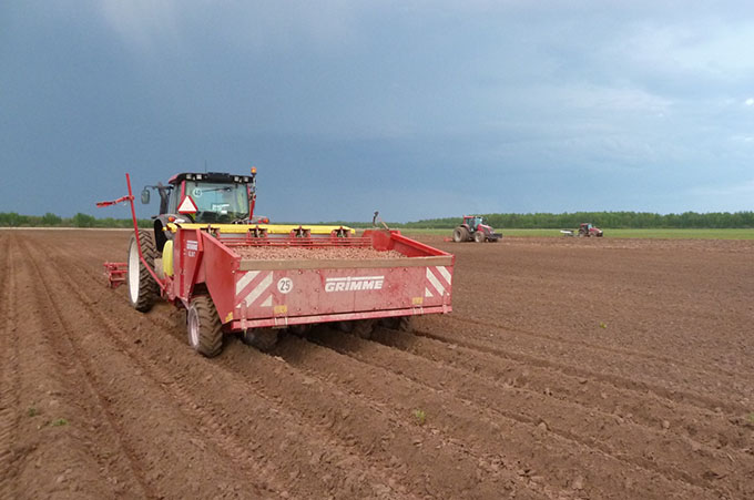 Рязанская область: в Михайловском районе начали посадку картофеля, в Александро-Невском - приступили к севу подсолнечника