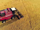 В Милославском и Михайловском районах Рязанской области намолочено более 100 тысяч тон зерна
