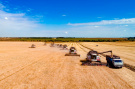 Урожай зерна в Рязанской области превысил 2,6 миллиона тонн