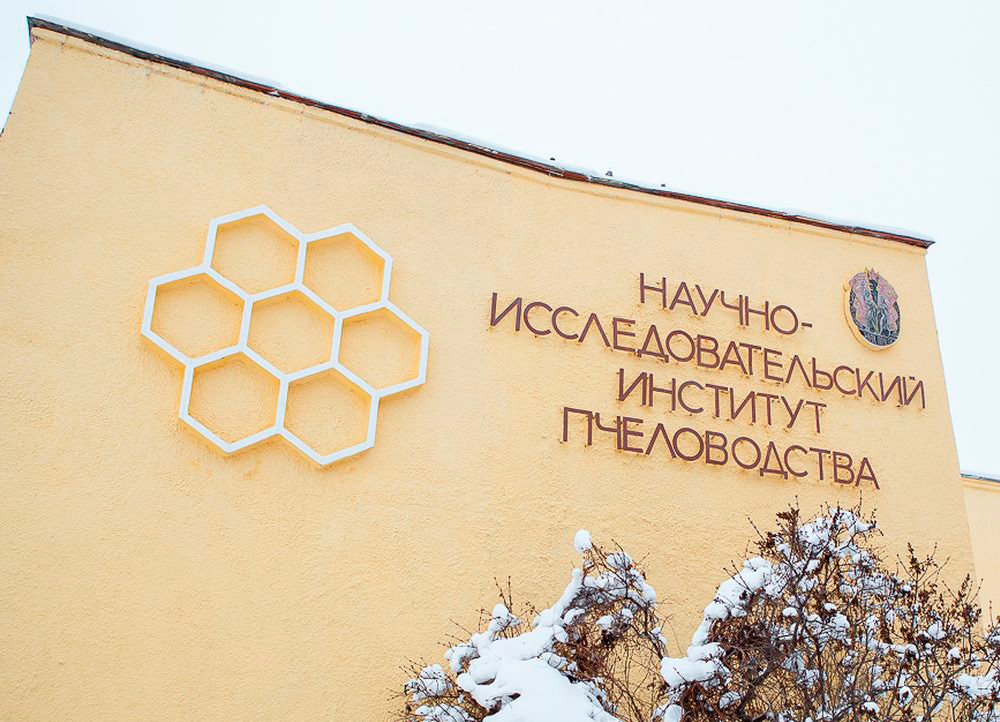 Школьники представили свои работы по пчеловодству на Всероссийской конференции Школьники представили свои работы по пчеловодству на Всероссийской конференции