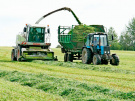 В Рязанской области активно заготавливают корма для животных
