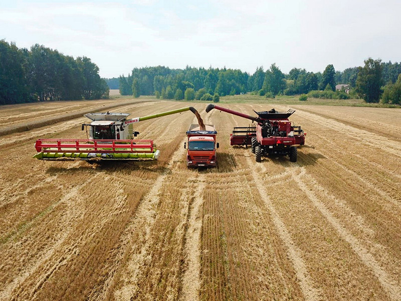В Рязанской области намолотили миллион тонн зерна!