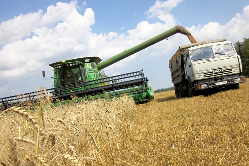 Аграрии 18 районов Рязанской области приступили к уборке зерновых культур
