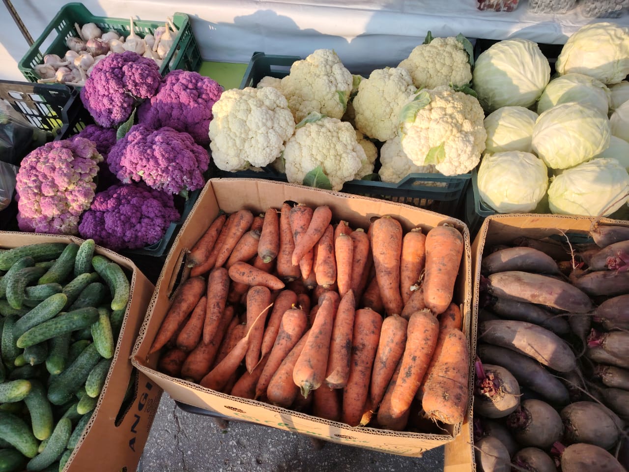 Павел Малков: «Ярмарочная торговля – дело очень хорошее и нужное»