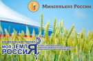 На конкурс информационных проектов «Моя земля – Россия» поступило более 1000 работ