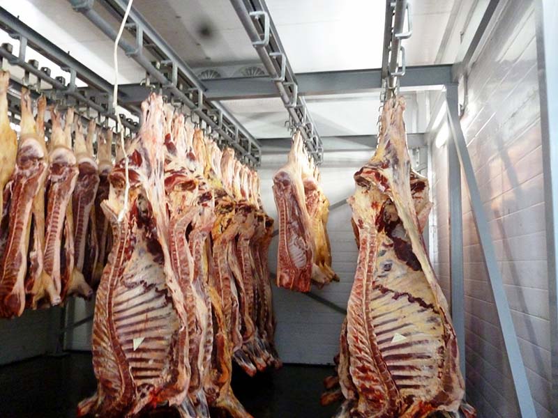 Производство мяса в Рязанской области за 2019 год выросло на 11,9 %
