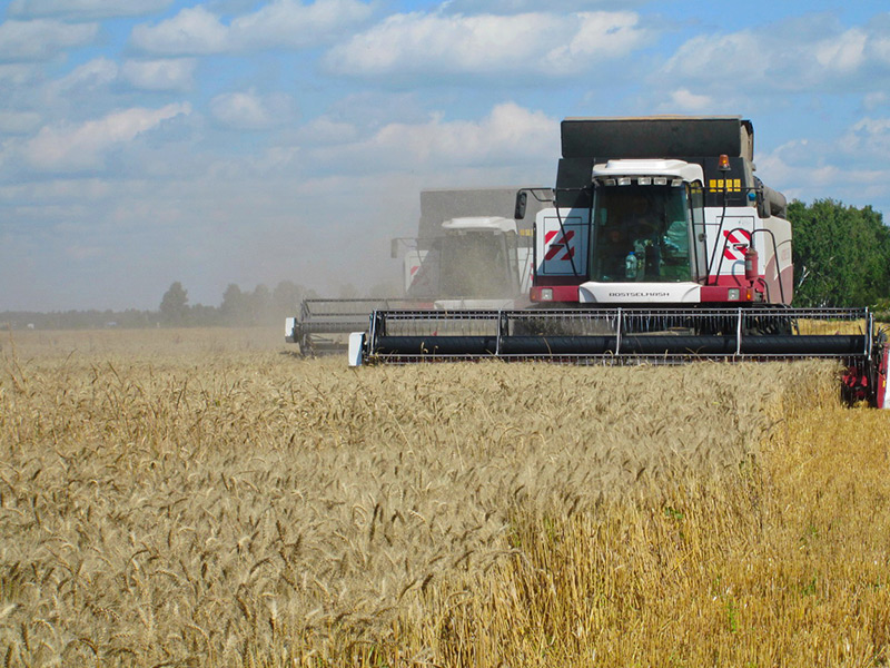 В Рязанской области дан старт уборке зерновых!