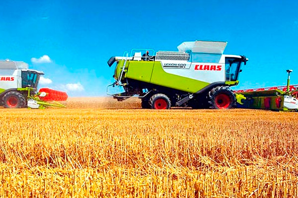 В Рязанской области намолочено более 500 тысяч тонн зерна