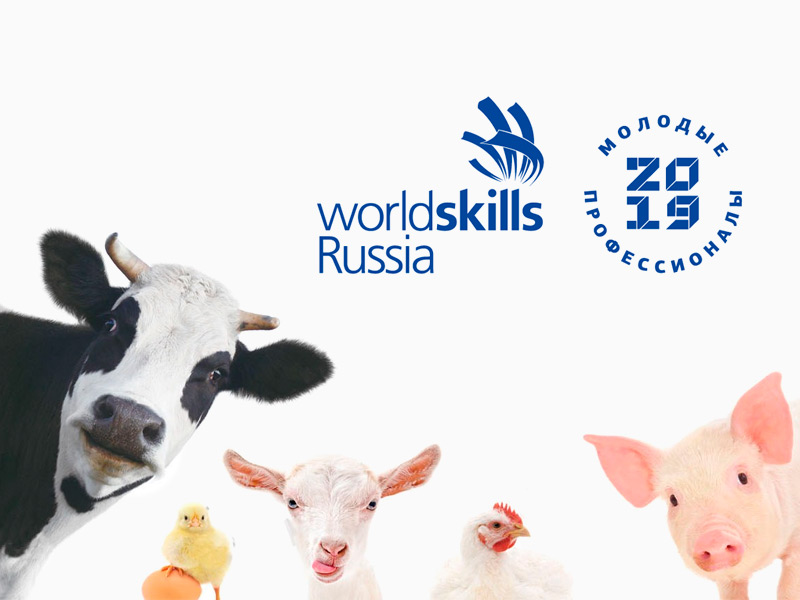В Рязанской области впервые проходит региональный чемпионат Worldskills по ветеринарии