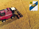 Аграрии Ряжского района убрали 100 тыс. тонн зерна