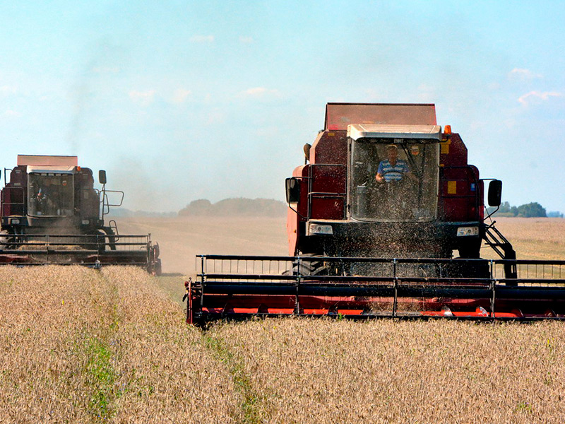 Рязанская область собрала богатый урожай зерновых культур