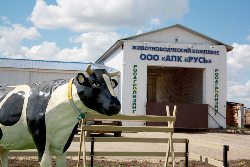 В ООО Агропромышленной комплекс «Русь» ежедневно производят 27 тонн молока