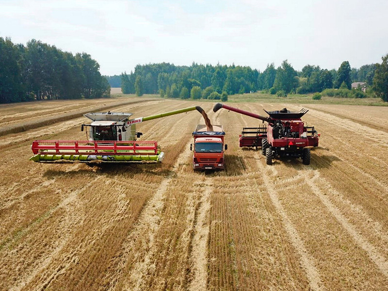 На полях Рязанской области работает 1322 комбайна – убрана четвертая часть зерновых культур