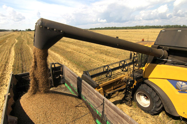 Рязанские аграрии намолотили 1,5 миллиона тонн зерна