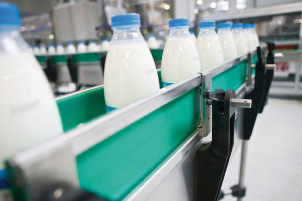 Суточное производство молока в Рязанской области достигло 1000 тонн