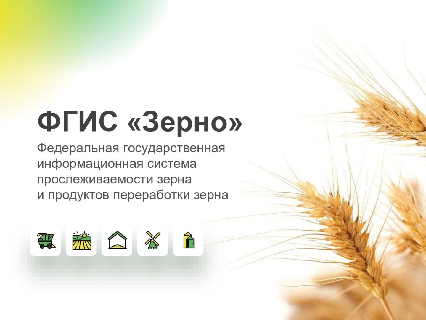 Рязанские аграрии продолжают регистрироваться в ФГИС «Зерно» Рязанские аграрии продолжают регистрироваться в ФГИС «Зерно»