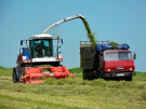 В Рязанской области активно заготавливают сено и сенаж