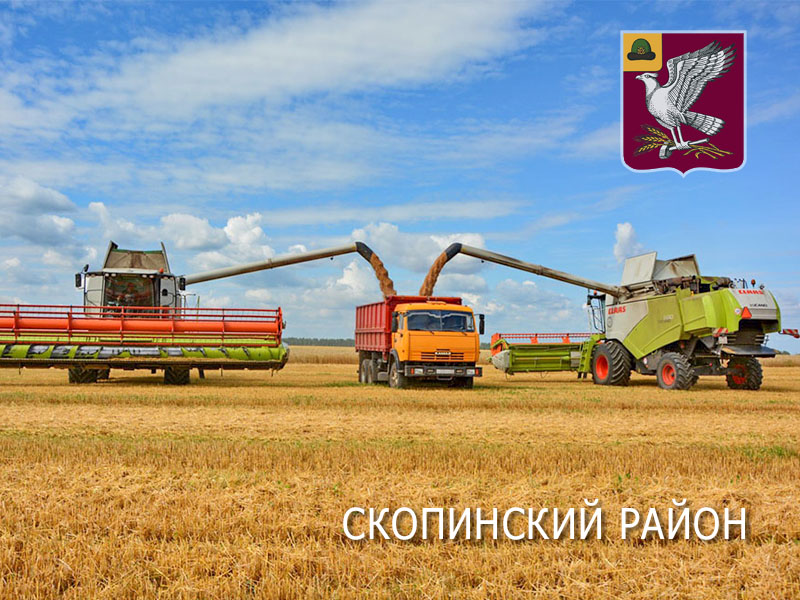 Аграрии Скопинского района получили уже более 200 тысяч тонн зерна