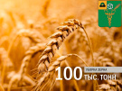 Ухоловские аграрии собрали 100 тыс. тонн зерна нового урожая