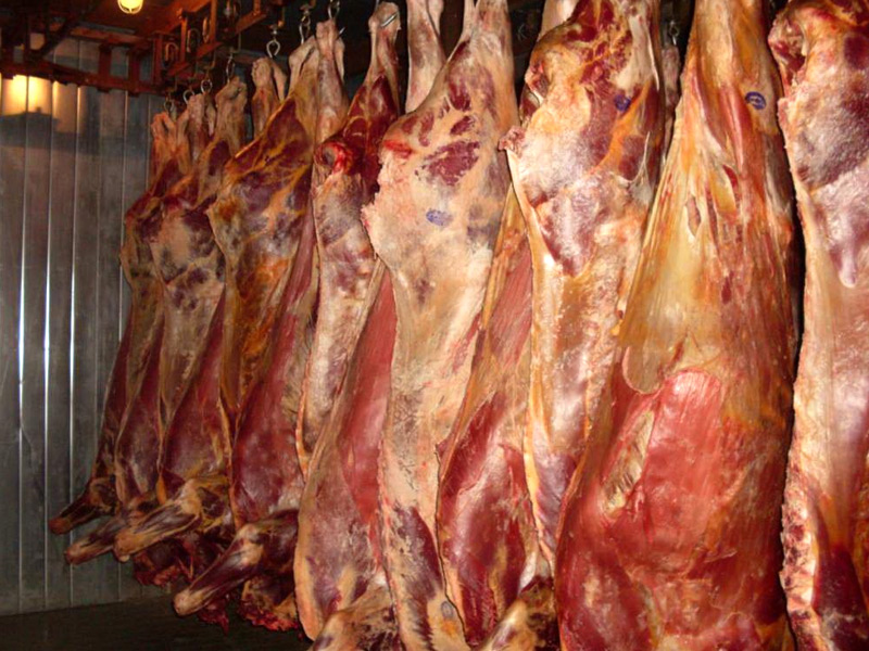 В сельхозорганизациях Рязанской области увеличилось производство крупного рогатого скота на убой в живом весе