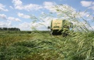 Рязанские аграрии приступили к заготовке кормов