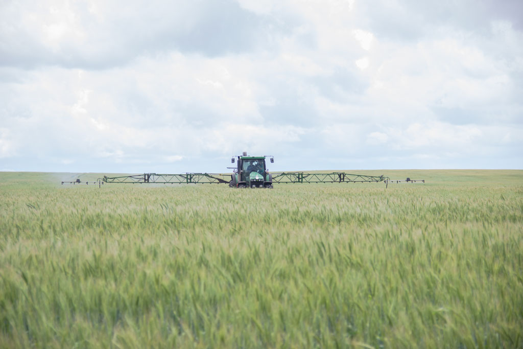 В Рязанской области продолжается заготовка кормов и уходные работы за посевами сельскохозяйственных культур