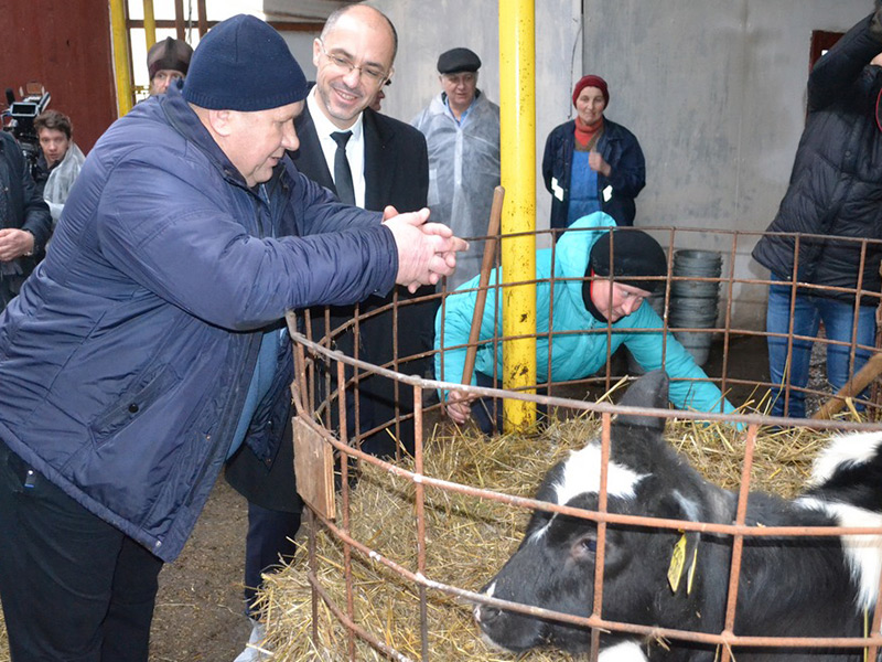 В Ряжском районе построили три новые животноводческие фермы
