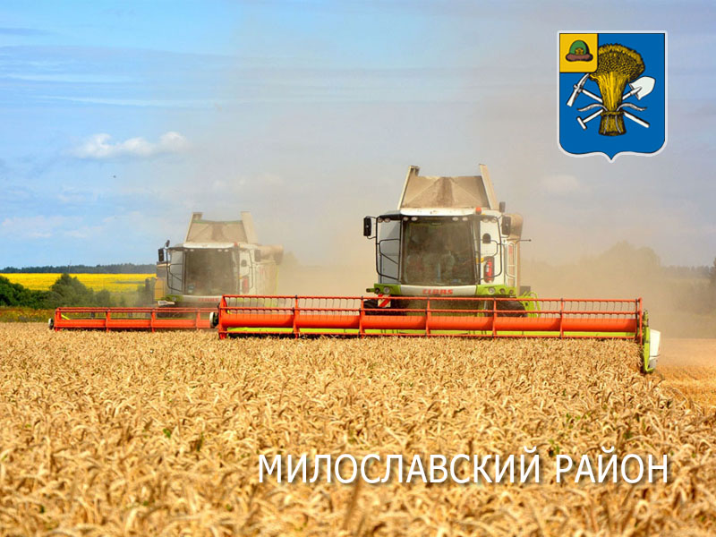 В Милославском районе получено более 100 тысяч тонн зерна!