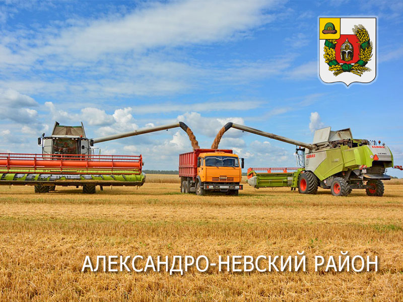 В Александро-Невском районе получено более 100 тысяч тонн зерна!