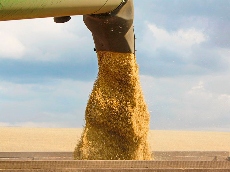 Поздравляем тружеников Милославского района с намолотом 100 тысяч тонн зерна!