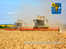Урожай зерна в Милославском районе превысил 200 тысяч тонн
