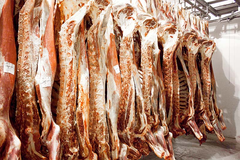 По итогам 8 месяцев 2015 года в Рязанской области увеличено производство мяса