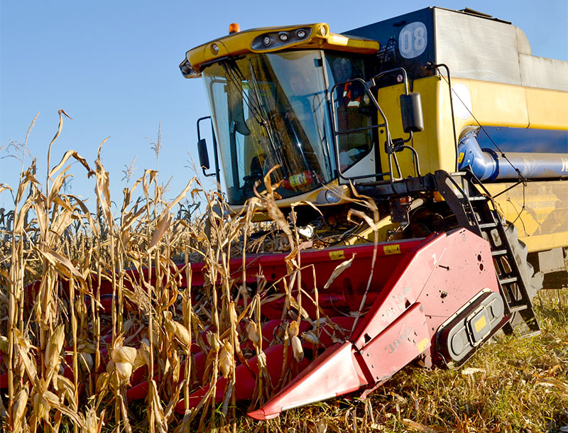 Аграрии Рязанской области завершили озимый сев и приступили к уборке зерна кукурузы