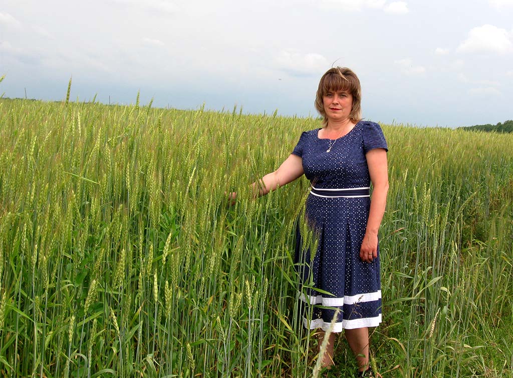 За всякое дело берись смело! За всякое дело берись смело!