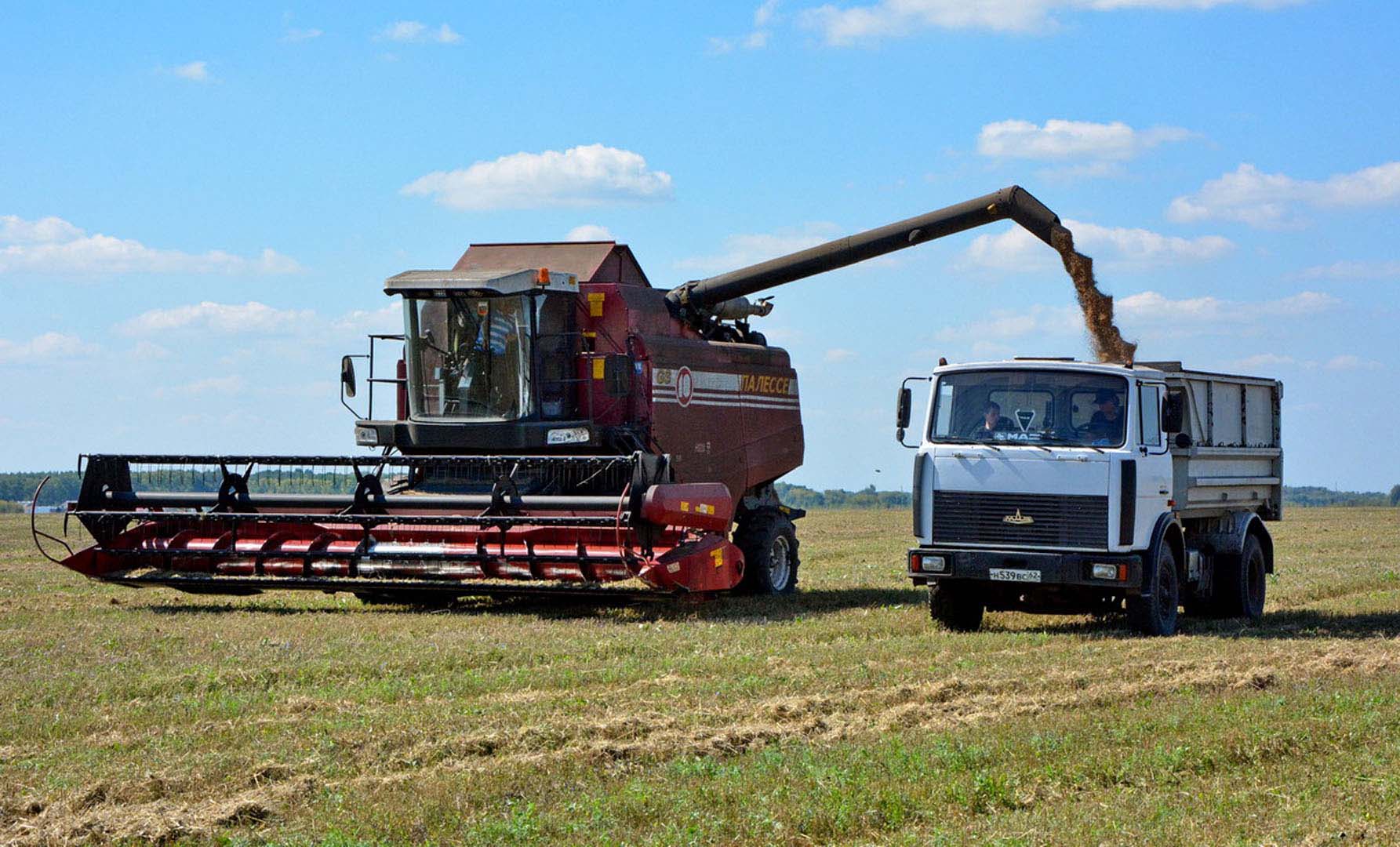 Поздравляем аграриев Рязанской области с намолотом двух миллионов тонн зерна!