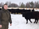 Коровы у молодого фермера из Клепиковского района в крыше не нуждаются