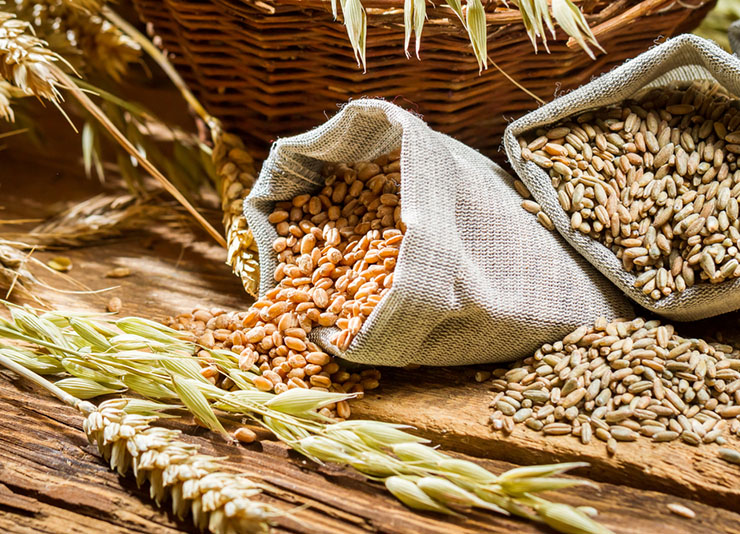 В ряде регионов зерновой рынок приблизился к ценовому дну