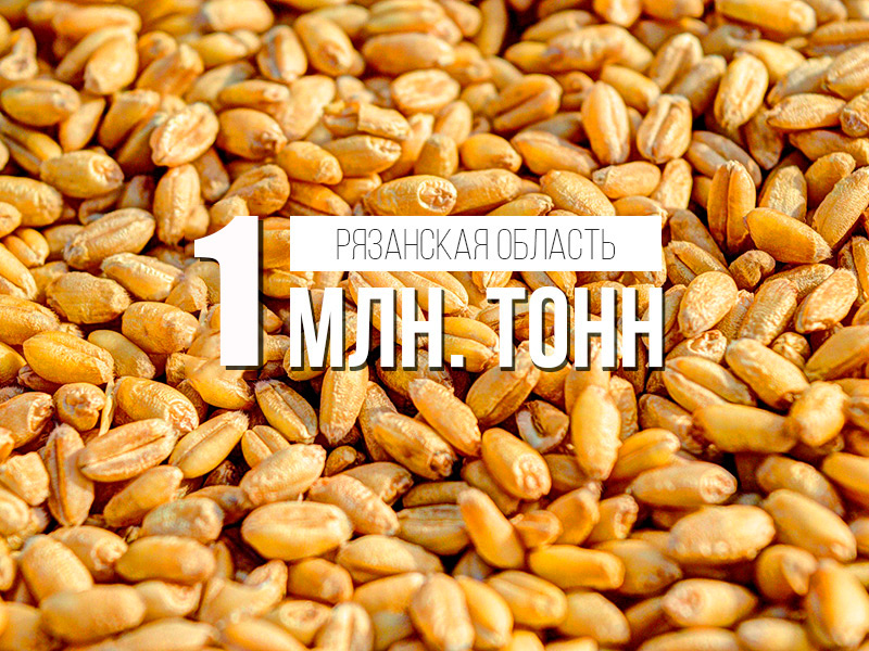 Павел Малков: Преодолен знаковый рубеж в 1 миллион тонн зерна