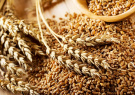 Участники зернового рынка полностью готовы к работе во ФГИС «Зерно»