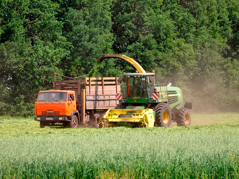 В Рязанской области продолжается заготовка кормов для животноводства