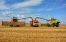 В Рязанской области получено более миллиона тонн зерна!