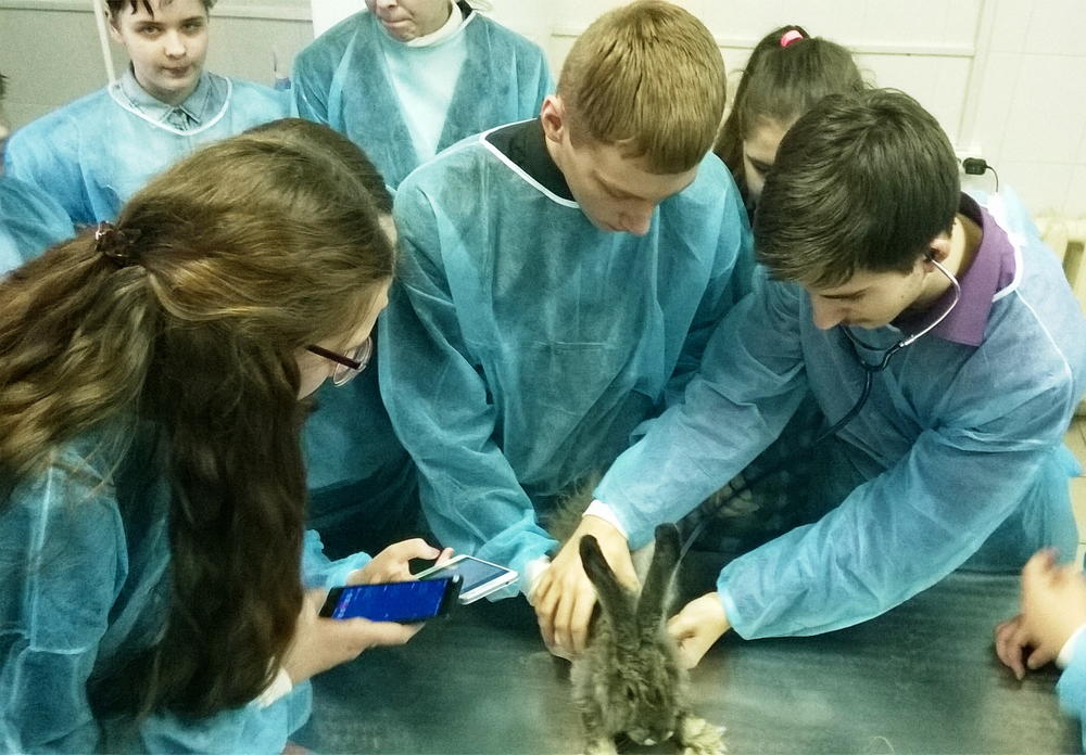 Почувствовать себя ветеринаром: на профильном факультете Рязанского агроуниверситета провели очередную экскурсию для школьников