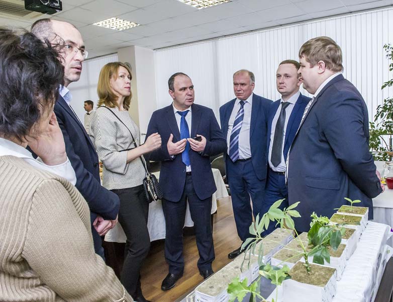 В Рязанской области открыто производство субстратов для теплиц из минеральной ваты