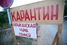 Видеоконференция по вопросам недопущения возникновения африканской чумы свиней на территории Рязанской области