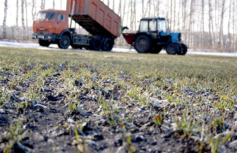В 17 районах Рязанской области ведутся полевые работы